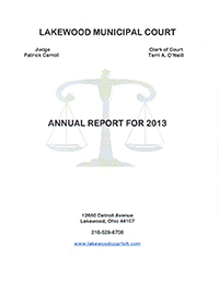 2013 Annual Report